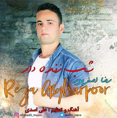 رضا اصغرپور  شب زنده دار